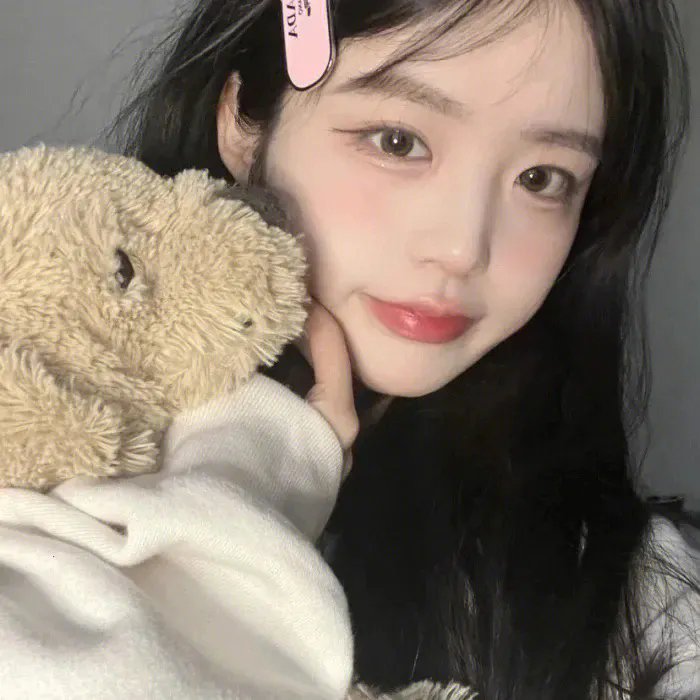 科搜研之女第24季