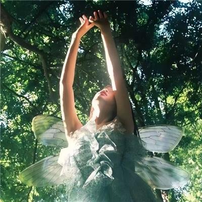 怪医秦博士