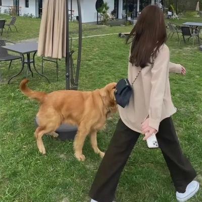 橙红年代