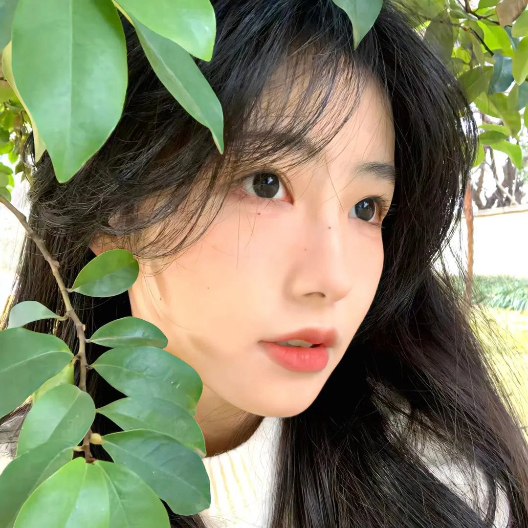 凤求凰